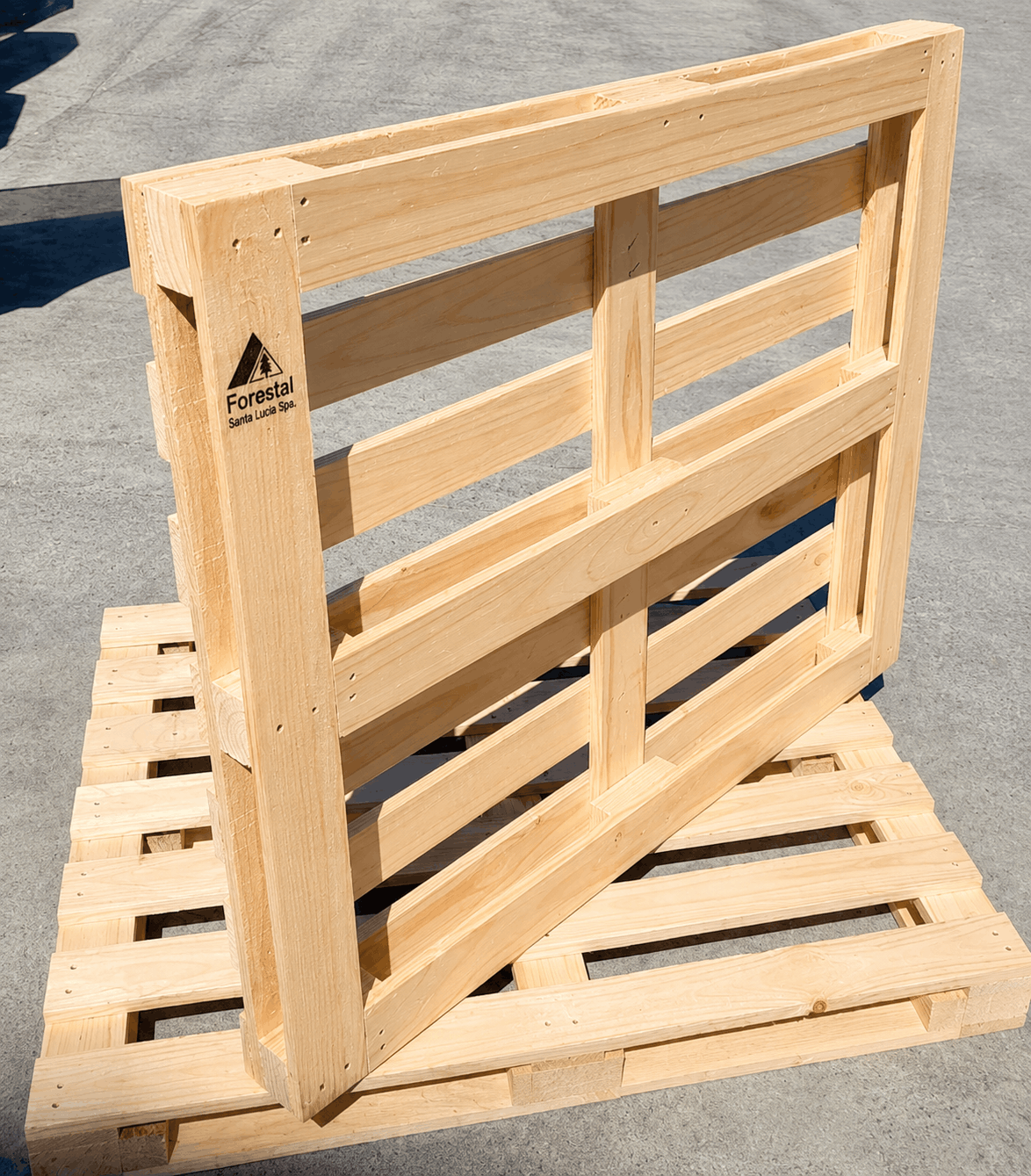 Pallet Certificado